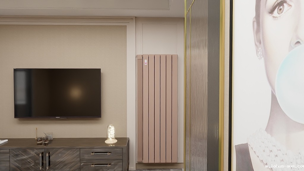 钢制散热器 钢制散热器