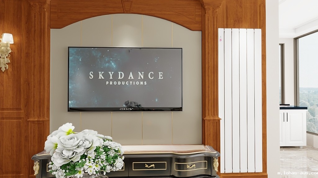 钢制散热器 钢制散热器